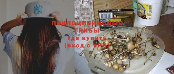 трава Алзамай