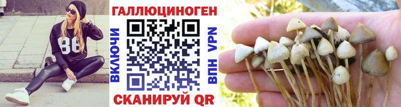 mega вход  Нестеров  Псилоцибиновые грибы ЛСД 